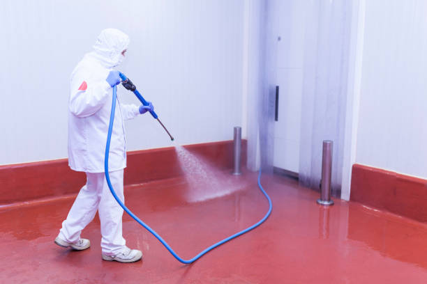 Best Patio and Deck Pressure Washing  in Dellwood, MN